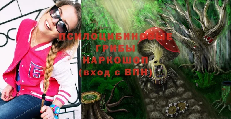 купить наркотик  Новоульяновск  Галлюциногенные грибы MAGIC MUSHROOMS 